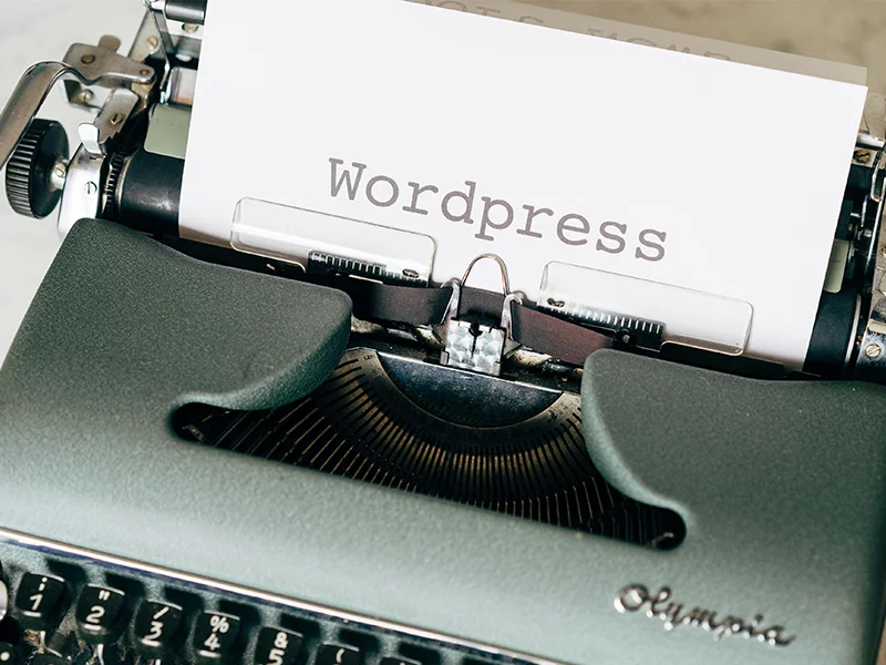 Common WP error fixes